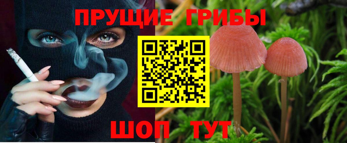 Галлюциногенные грибы мицелий  Вход с VPN  Саратов 